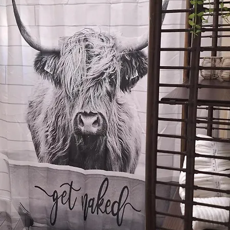 Saloon Greenhorn شقة إنسبروك