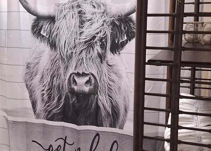 Saloon Greenhorn Apartmán Innsbruck